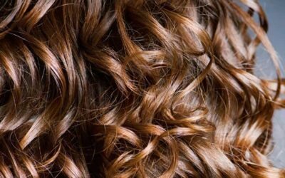 Autumn Hair Trends You Need to Know for 2024 🍂